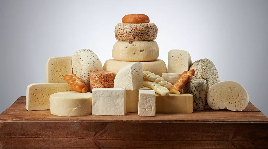 variety of cheese