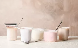 various yogurt flavors