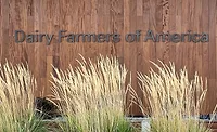 Dairy Farmers of America