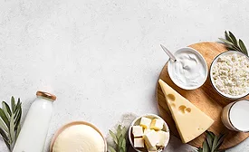 dairy products