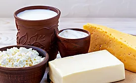 dairy products