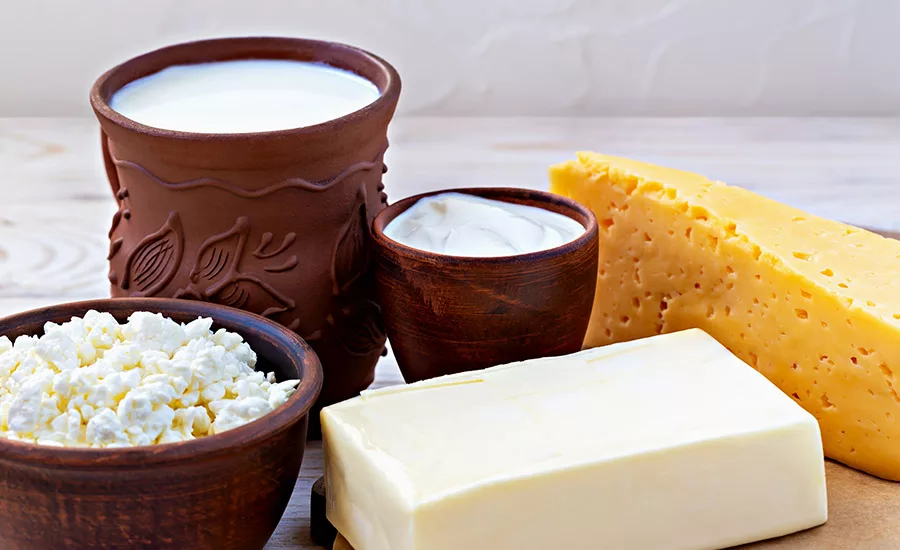 dairy products