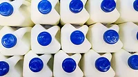 several plastic milk jugs