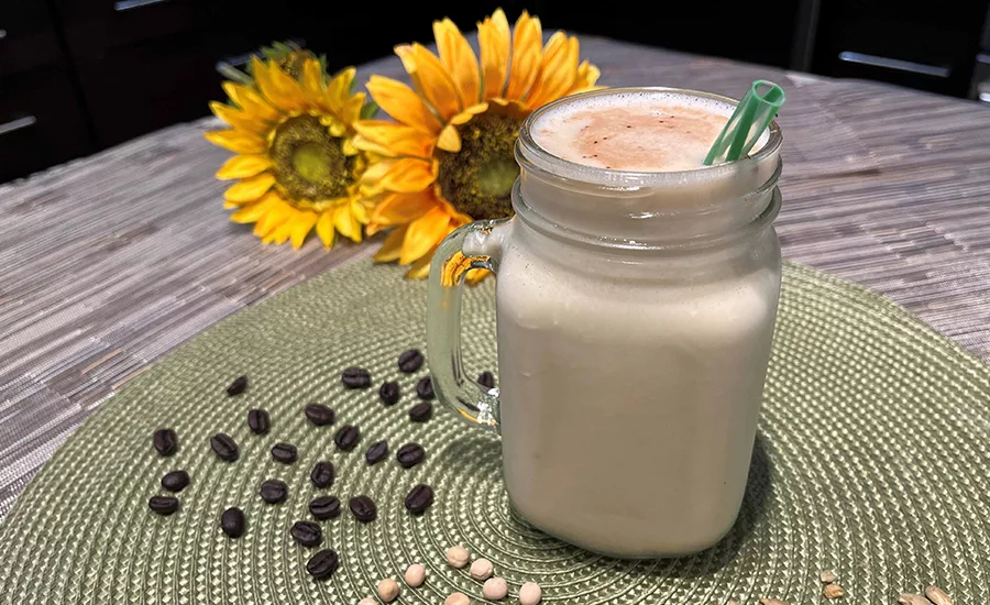 high-purity plant protein isolates (90%+)