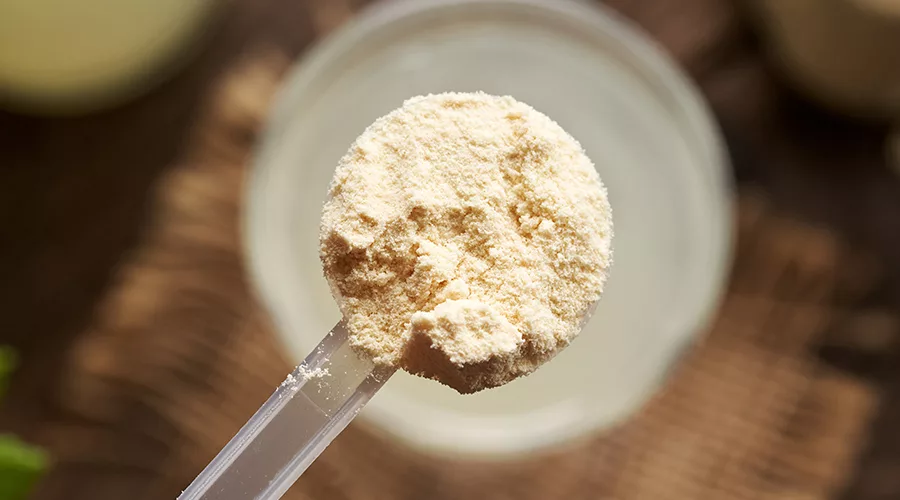 a scoop of whey protein powder