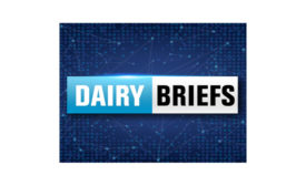 dairy briefs