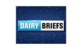 dairy briefs