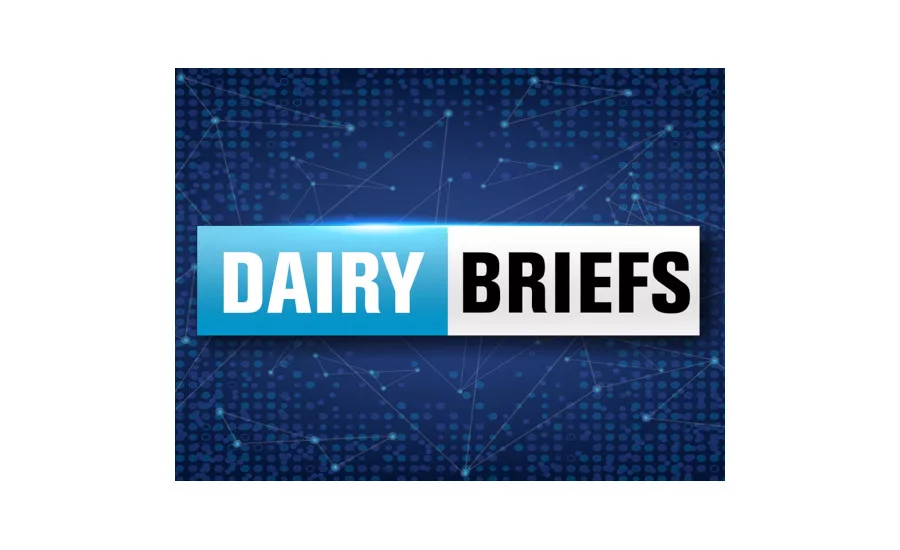 dairy briefs