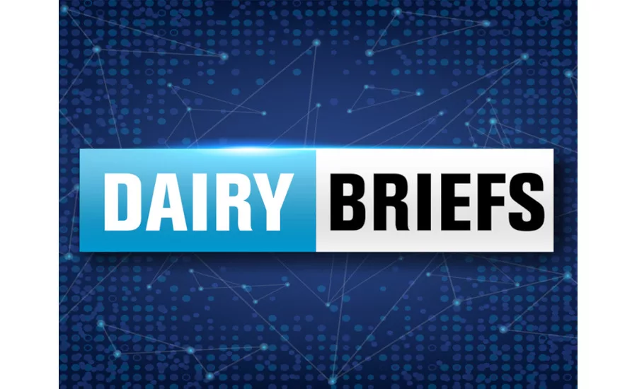 Dairy briefs