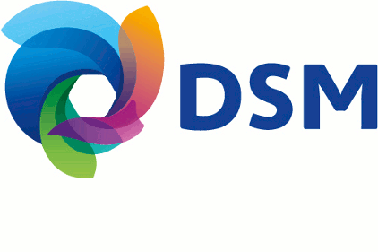 DSM logo feature size