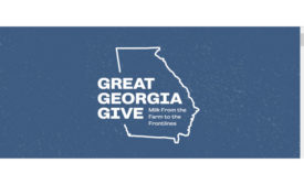 Great Georgia Give