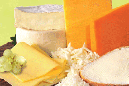 Generic cheese photo