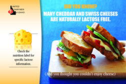 United Dairymen of Idaho lactose-free cheese
