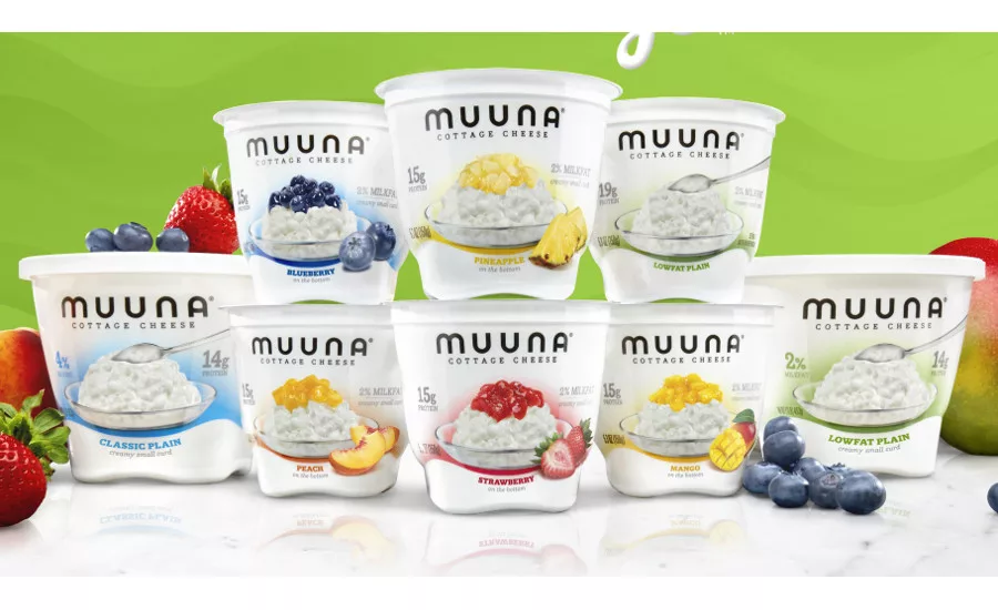 Muuna flavored cottage cheese