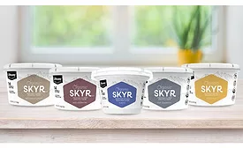 Lifeway organic skyr
