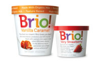 Brio Ice Cream pints and single serve