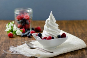 PreGel Plain Greek frozen yogurt