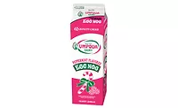 Umpqua Dairy Peppermint Egg Nog Umpqua Dairy Peppermint Egg Nog