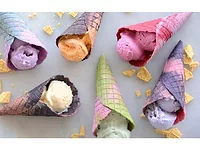 plant-based colors