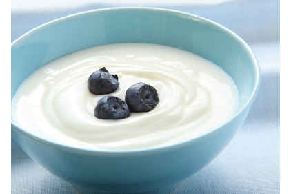 DuPont Greek Yogurt - feature