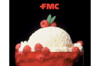 FMC Ice cream raspberries