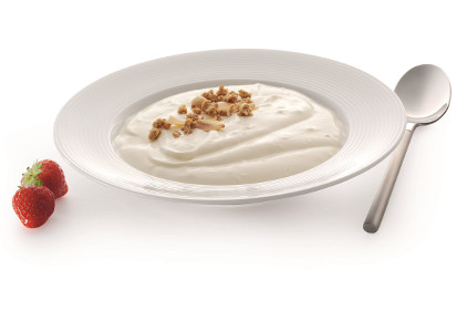 Palsgaard -8600_Natural yogurt - feature