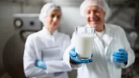 Technicians in uniform and gloves collaborating in quality control procedures inside a dairy plant.