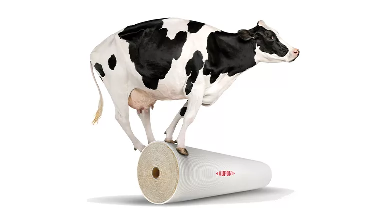 A cow is balancing on top of DuPont’s FilmTec Hypershell XP RO‑803 on a white background.