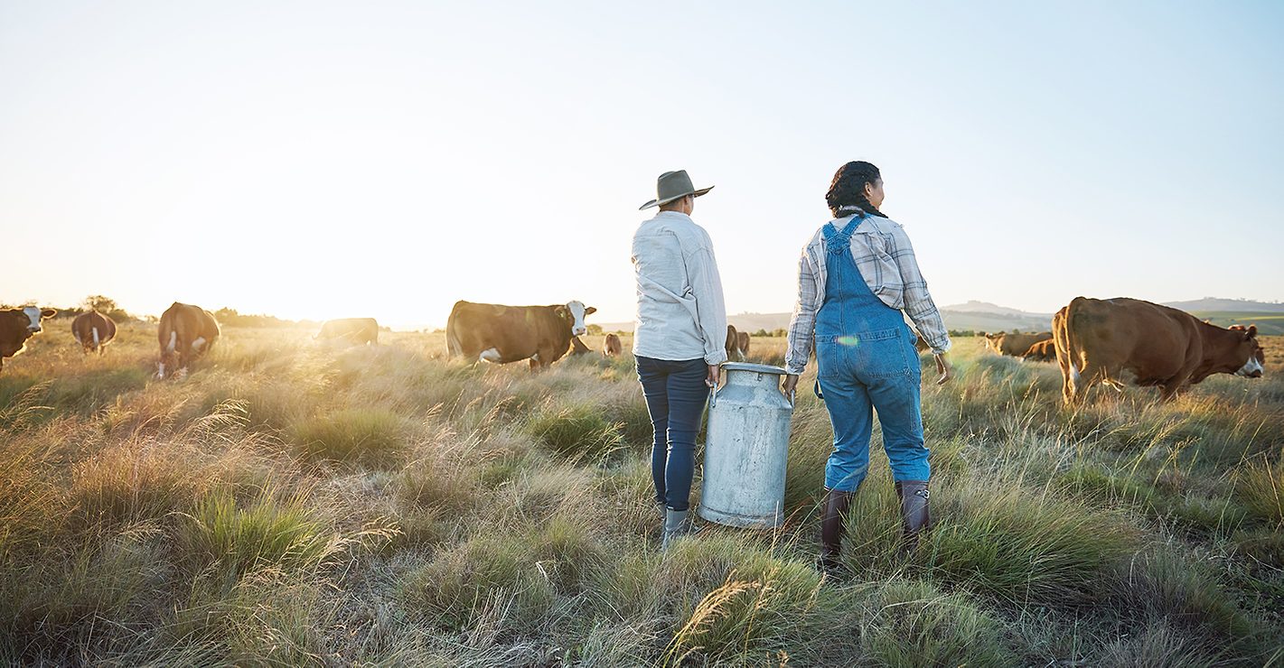 Two women farmers at a diary farm Two female farmers are standing in a field, holding a large milk canister, looking at several cows at dairy farm.