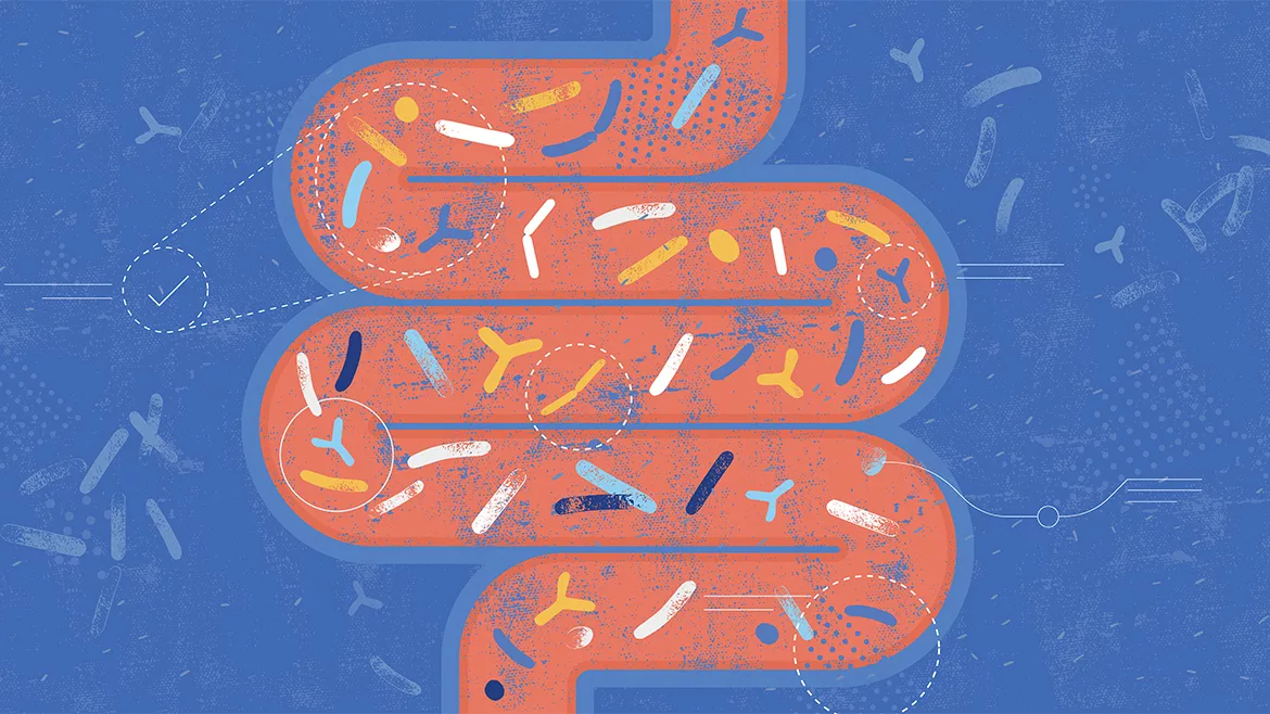 Gut microbiome concept. Stylized human intestine microbiota with healthy probiotic bacteria. Flat abstract illustration with hand drawn textures.