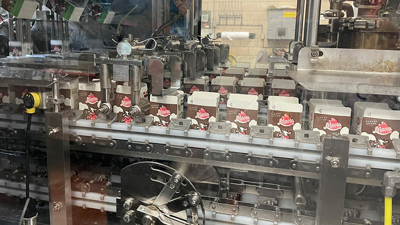 Maola chocolate milk cartons moving on an automated packaging line inside a factory.