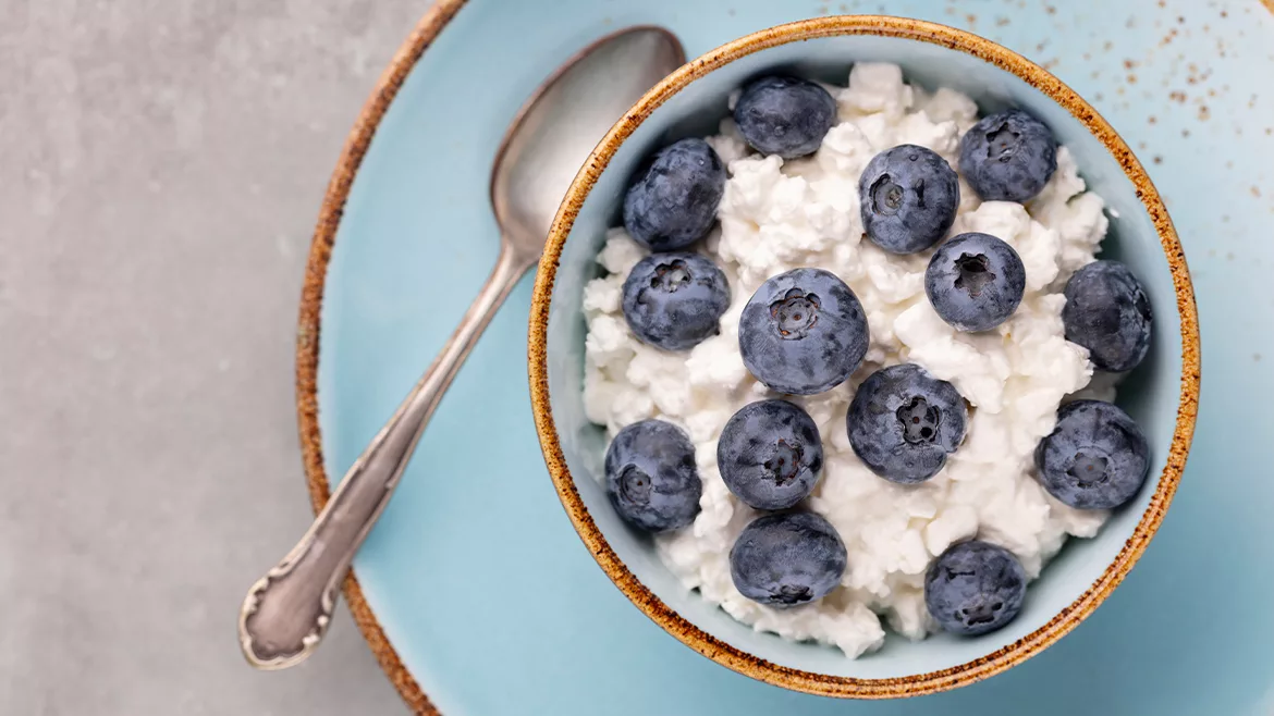 An overhead and close-up view of a bowl of cottage cheese topped with fresh blueberries.