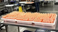Frios pops in the manufacturing facility Trays of Frios pops in the manufacturing facility.