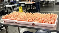 Trays of Frios pops in the manufacturing facility.