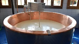 Large copper cheese-making vat filled with milk, equipped with an automated stirring device inside a tiled dairy processing room with wooden windows.