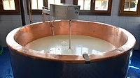 Large copper cheese-making vat filled with milk, equipped with an automated stirring device inside a tiled dairy processing room with wooden windows.