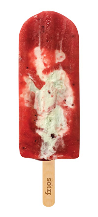 One of the Frios Gourmet Pops Creamy flavors on a white background.