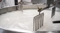 Close-up image of tank full of milk in a cheese factory.