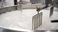Tank full of milk Close-up image of tank full of milk in a cheese factory.