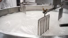 Close-up image of tank full of milk in a cheese factory.