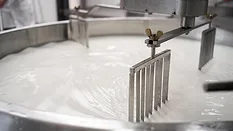 Close-up image of tank full of milk in a cheese factory.