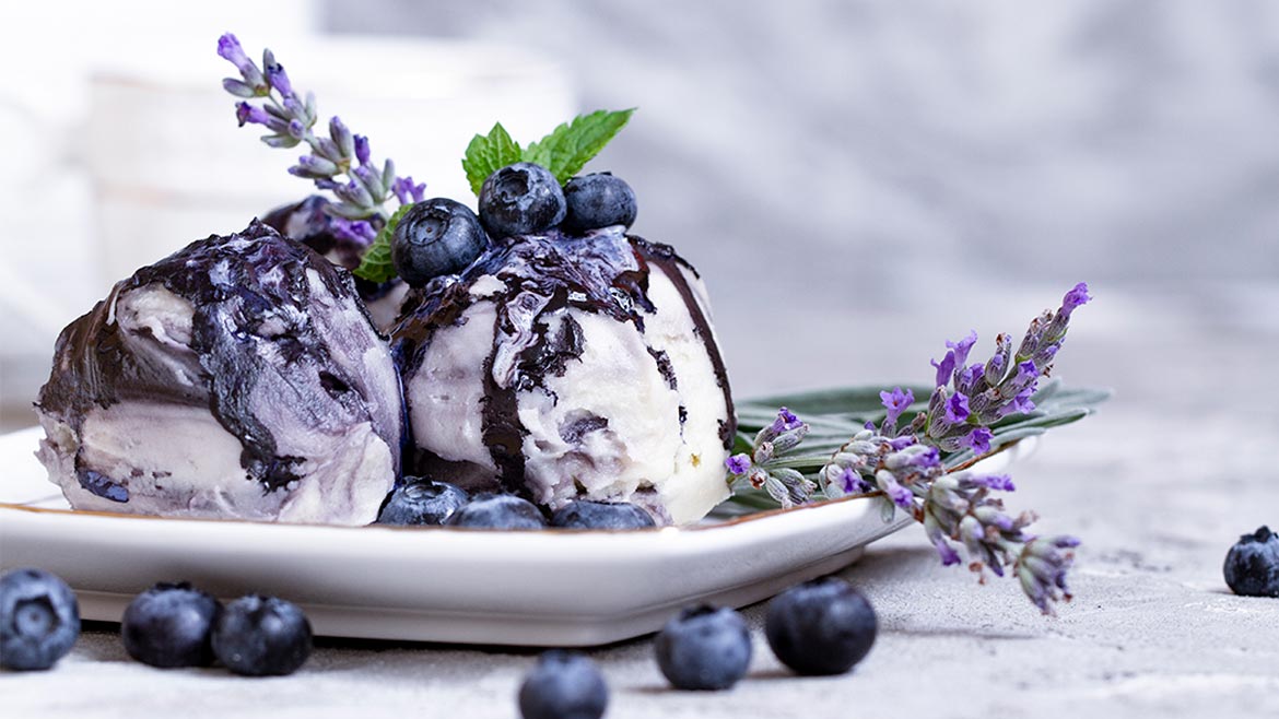 Vanila and blueberry ice cream with lavender on blue background.