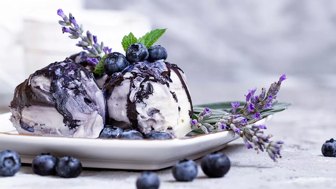 Vanila and blueberry ice cream with lavender Vanila and blueberry ice cream with lavender on blue background.