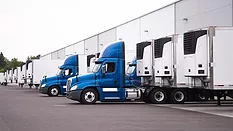 Blue semi trucks and semi trailers stand in row hardly near the warehouse gate under loading and unloading process.