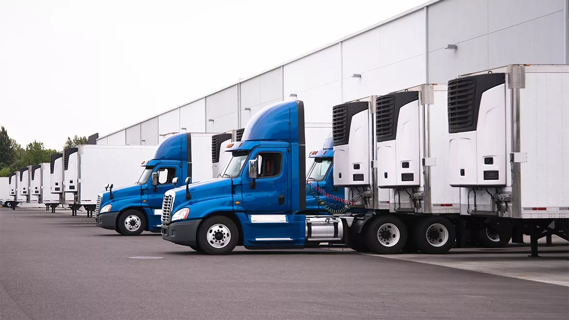 Blue semi trucks and semi trailers stand in row hardly near the warehouse gate under loading and unloading process.