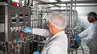 Two workers in protective clothing monitor and operate machinery in a modern dairy processing plant, showcasing hygiene and production processes.