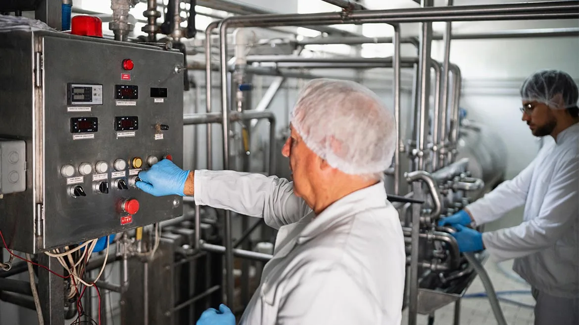 Workers operating equipment in a milk and dairy processing plant Two workers in protective clothing monitor and operate machinery in a modern dairy processing plant, showcasing hygiene and production processes.