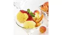 Sorbet-product-shot.jpg Cargill to Cargill to double tapioca syrup production
