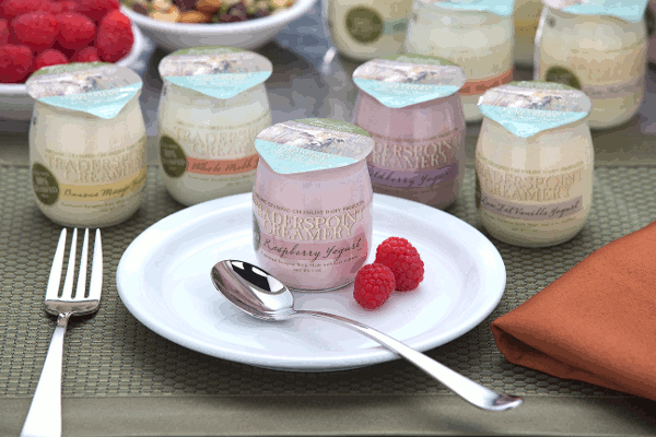 glass jar for yogurt from Verallia forever glass saint-gobain containers