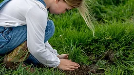 Sustainability Report.jpg